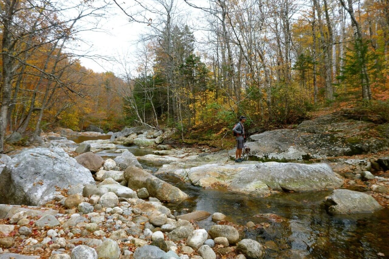 A rocky river bed winds through bright fall foliage.