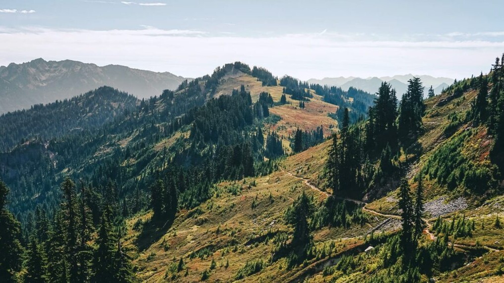 A trail meanders through a green and mountainous landscape on the Pacific Crest Trail.