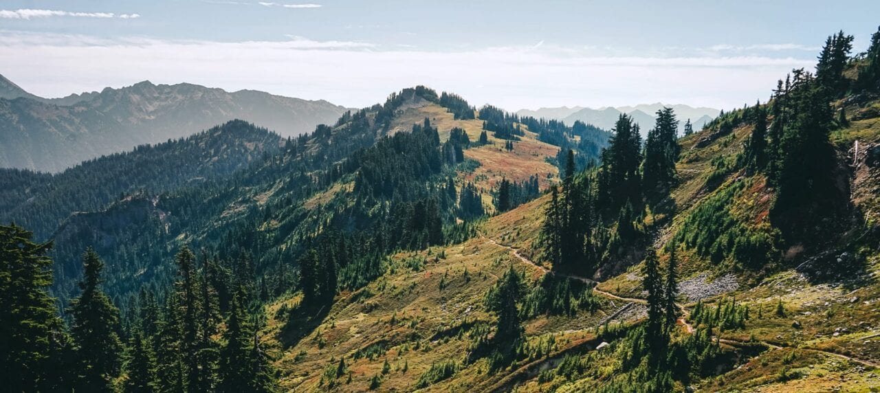 A trail meanders through a green and mountainous landscape on the Pacific Crest Trail.