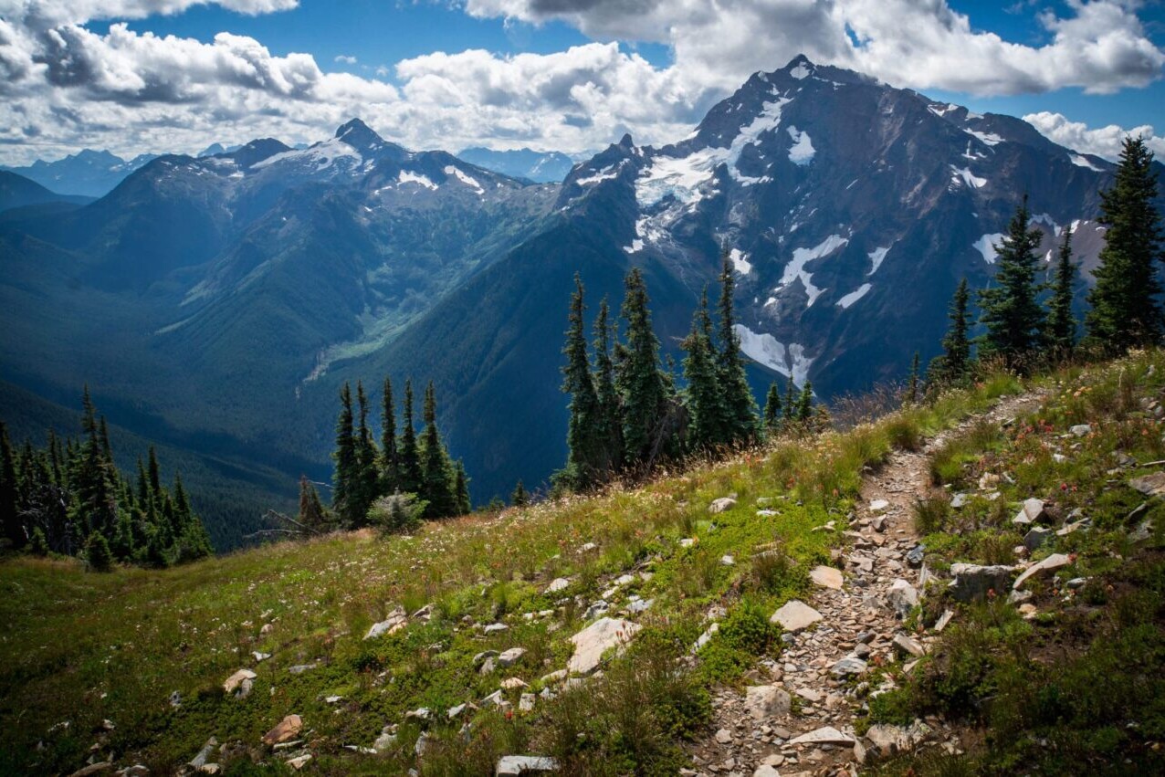 A trail leads through a green field towards distant snowy mountains.