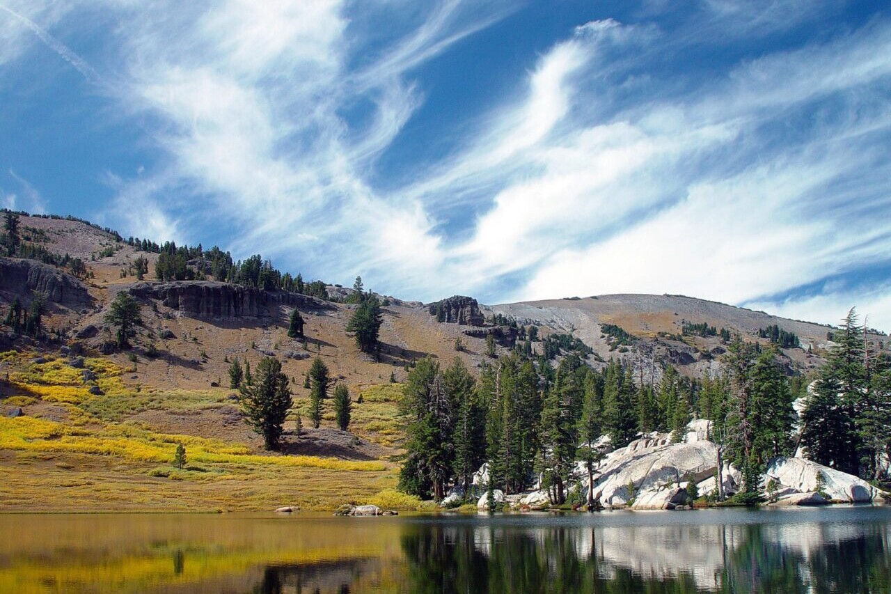 A lake reflects a nearby wildflower meadow and trees.