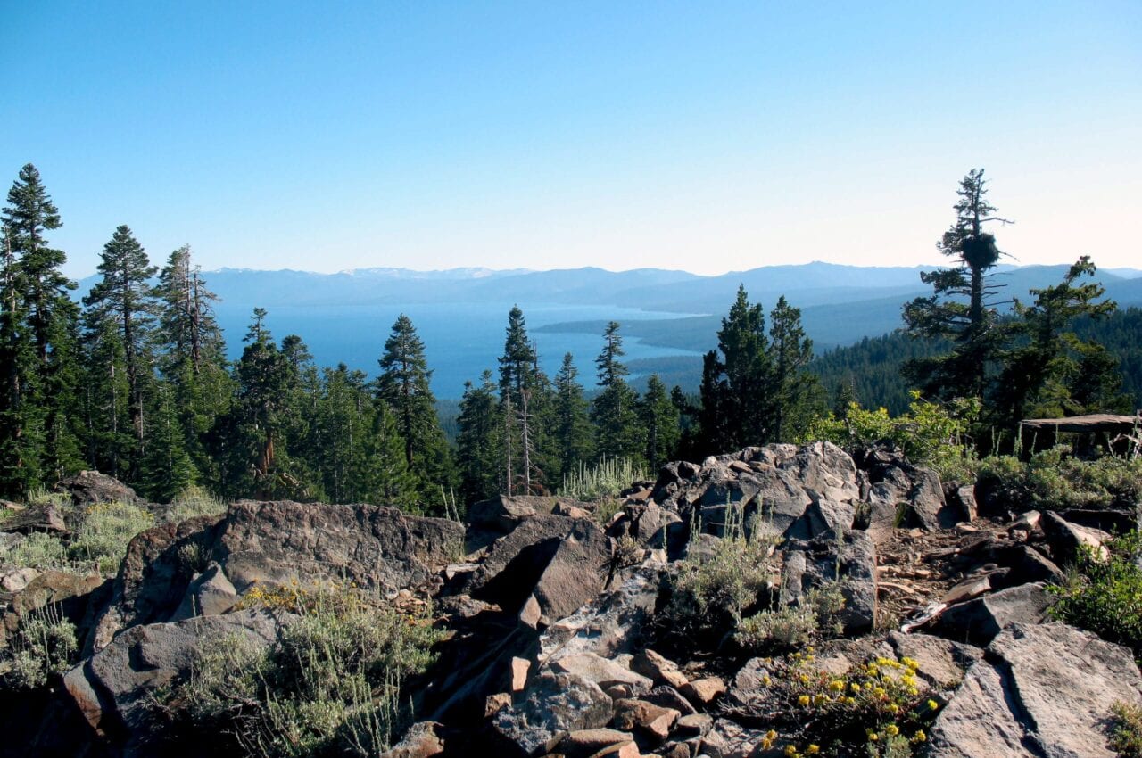 A view from a rocky outcropping on the Tahoe Rim Trail looks over Lake Tahoe through tall evergreens.