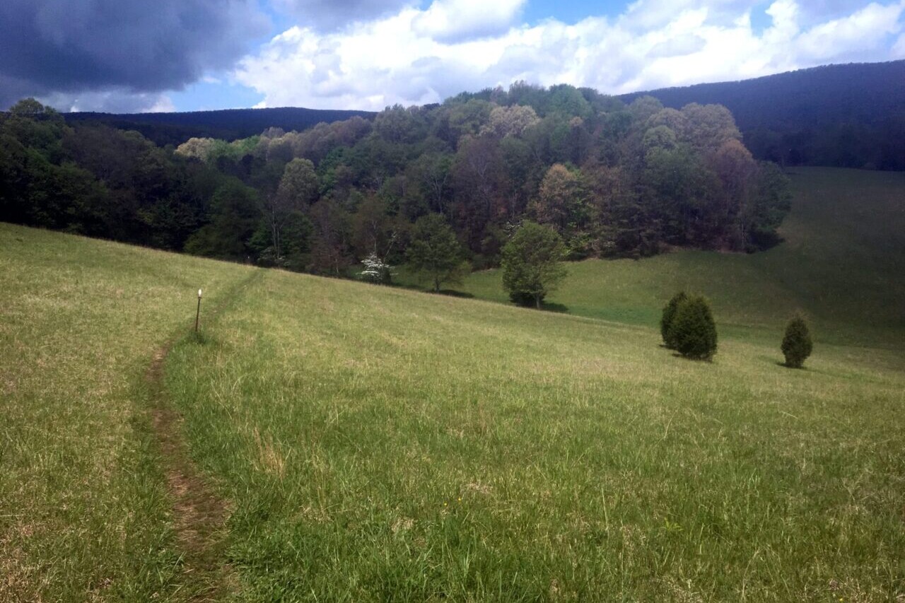 A trail leads across a field towards a distant forest under a cloudy sky.