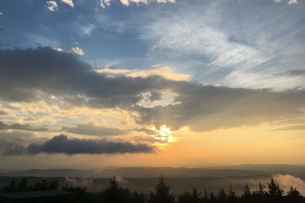 A brilliant sunset is in the sky over a forest.