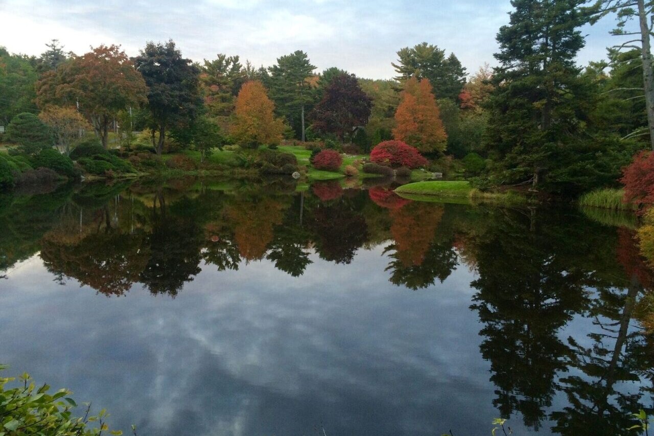 A pond reflects fall foliage from the forest surrounding it.