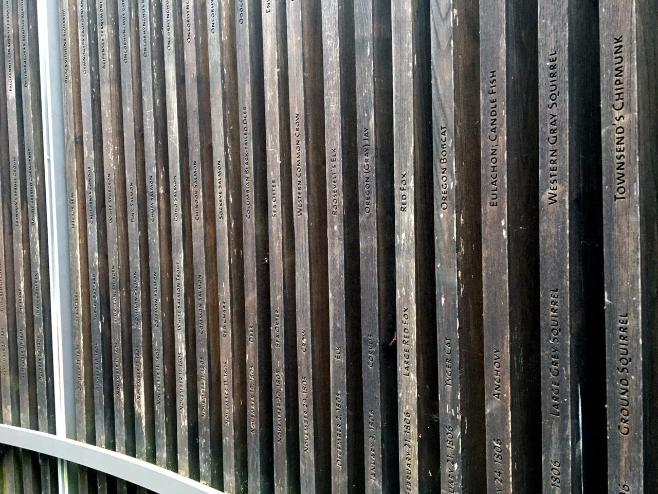 A wooden bird blind shows the common and scientific names of animals in the area.