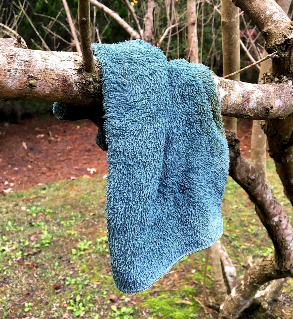 A small towel hangs on a tree to dry.