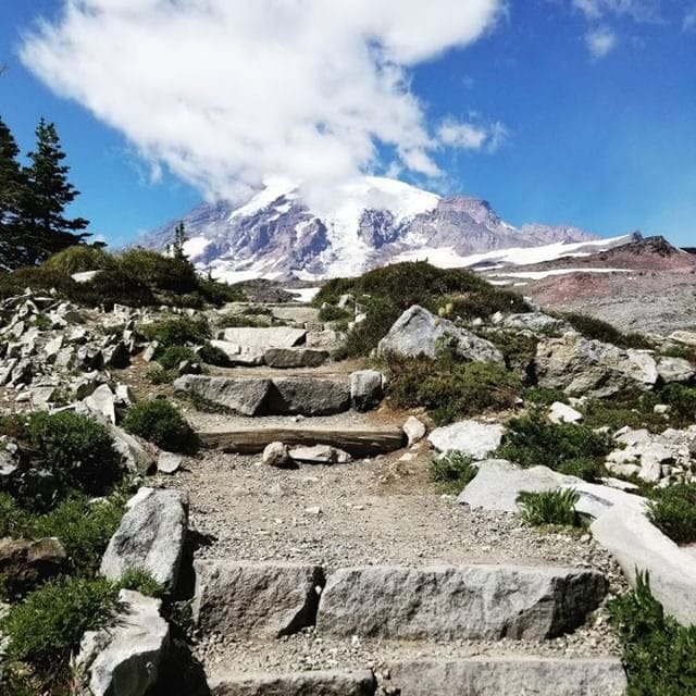 A beautiful view of a trail and a mountain.