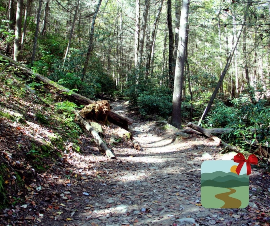 Benton MacKaye Trail