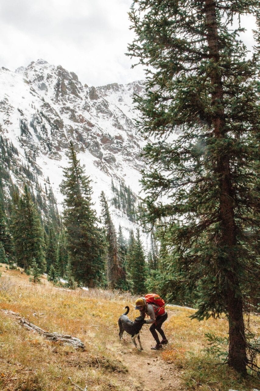 A person hiking with their dog.
