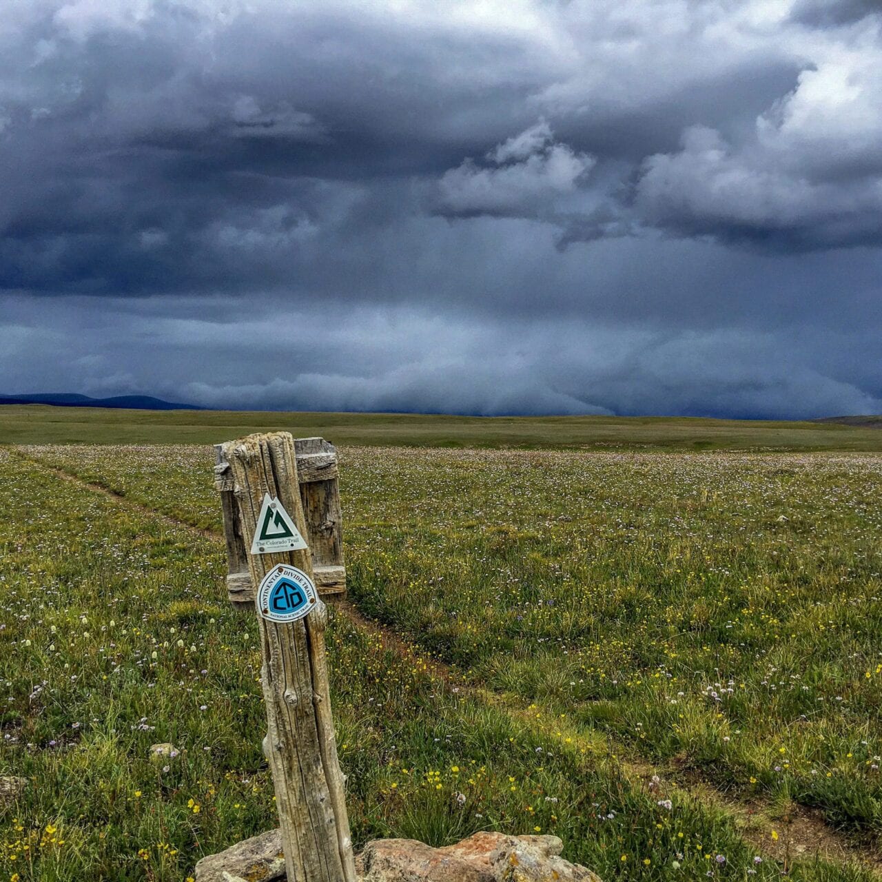 A view of the trail with the Colorado Trail sign post.