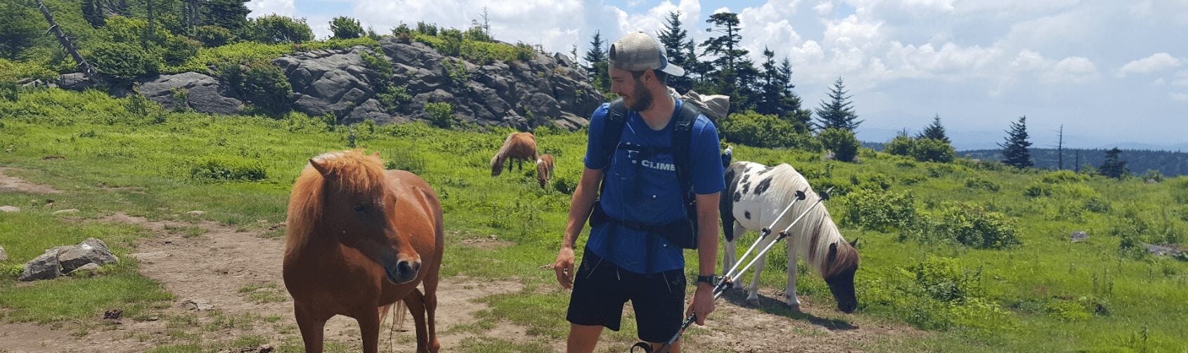 A hiker stands next to a horse on the Appalachian Trail.