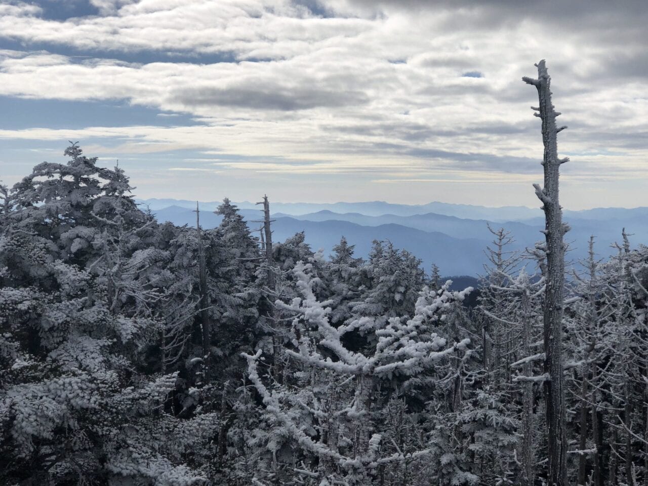 A view of snow covered trees with a cloudy sky.