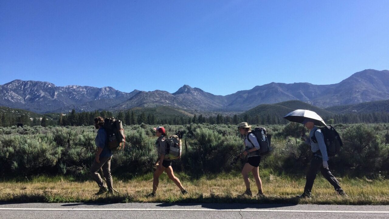 A group of hikers walking in a line along a road.