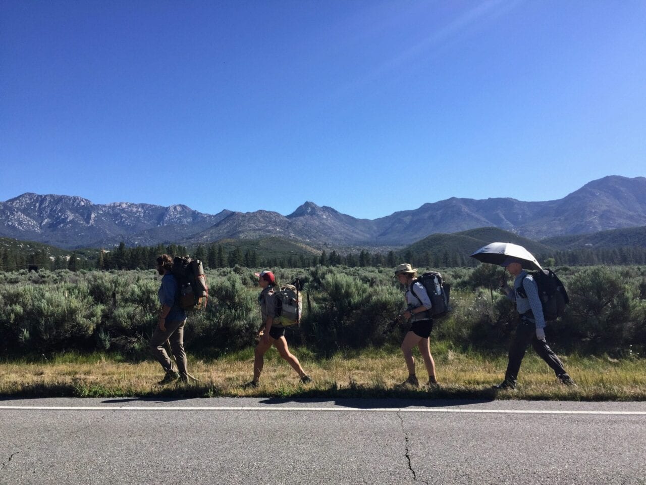 A group of hikers walking in a line along a road.