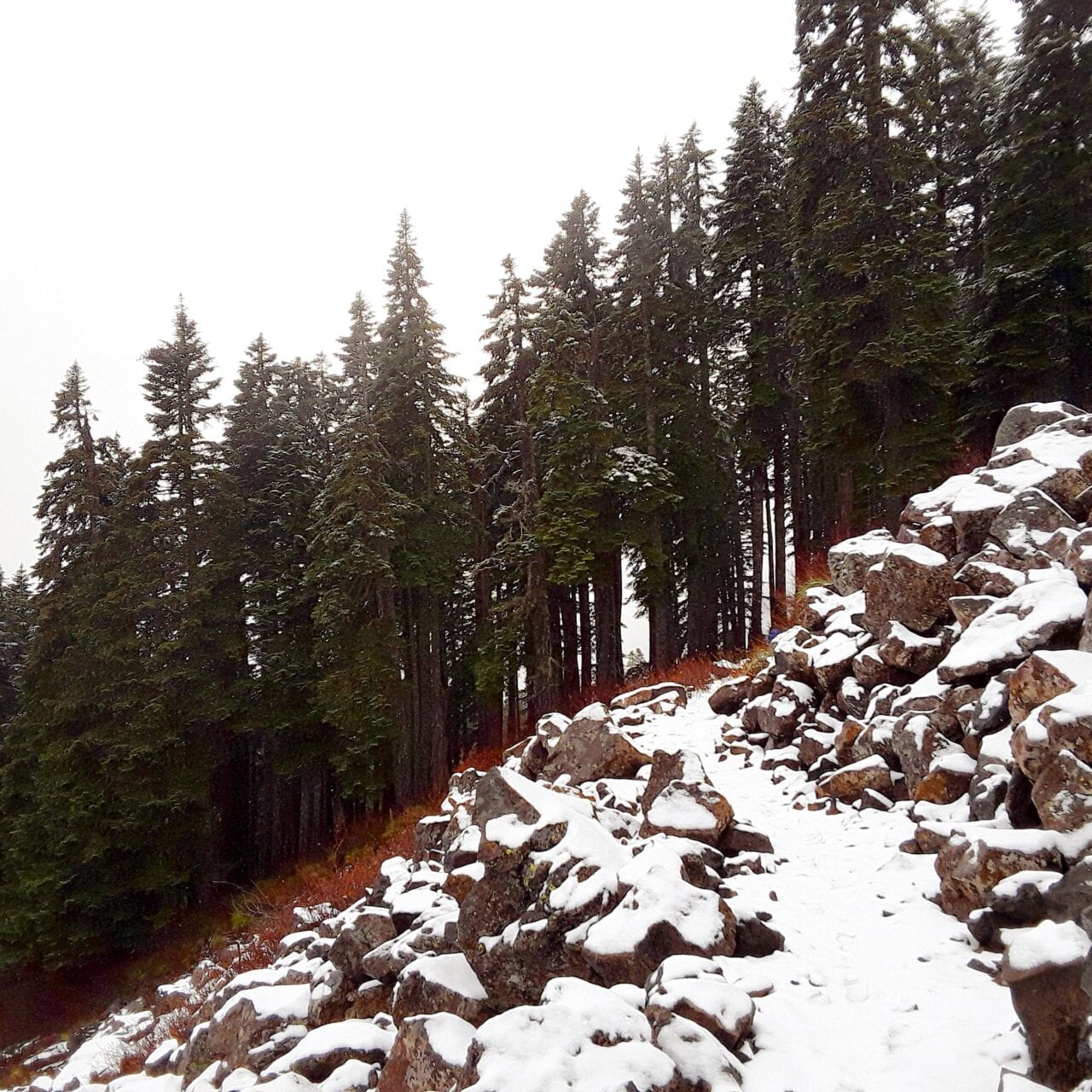A trail covered in snow.
