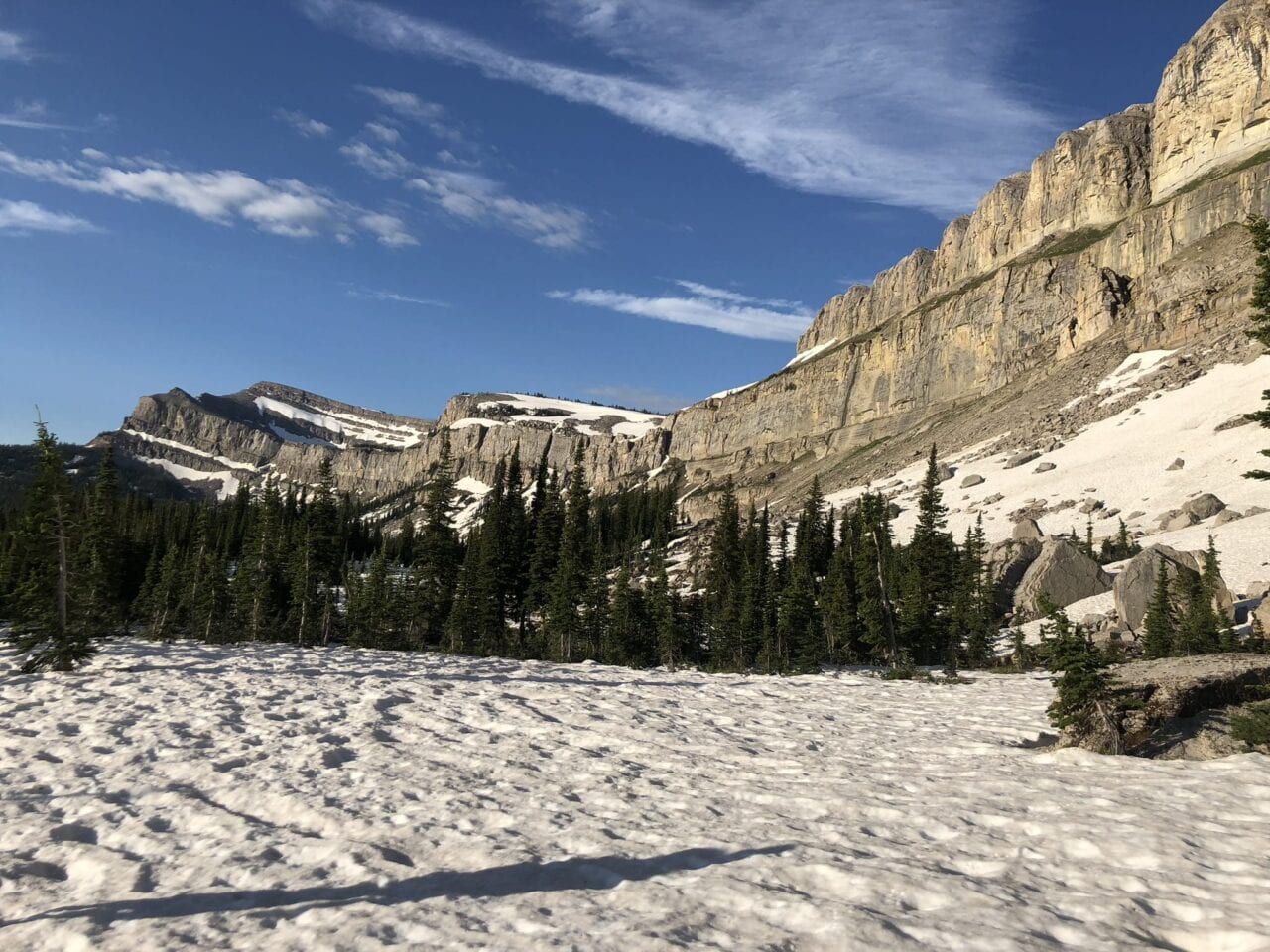 A view of mountains and trees with snow everywhere.