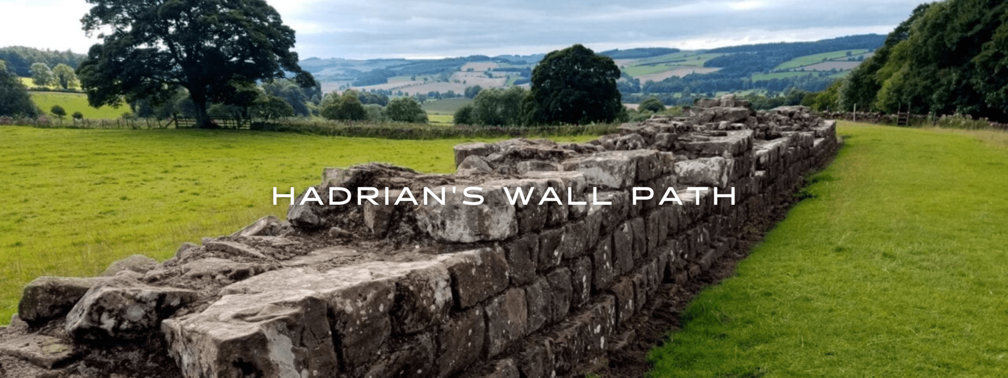 A stone wall stretches into the distance through a green meadow.