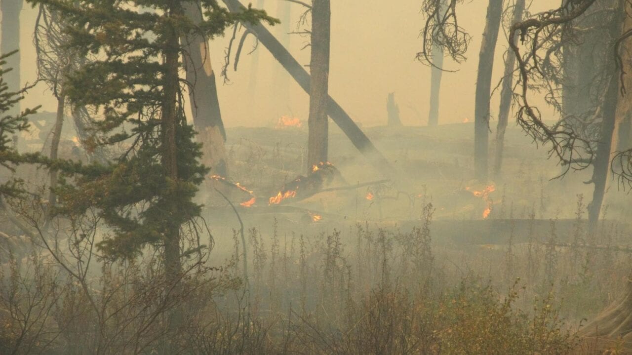 A very smoky forest fire.