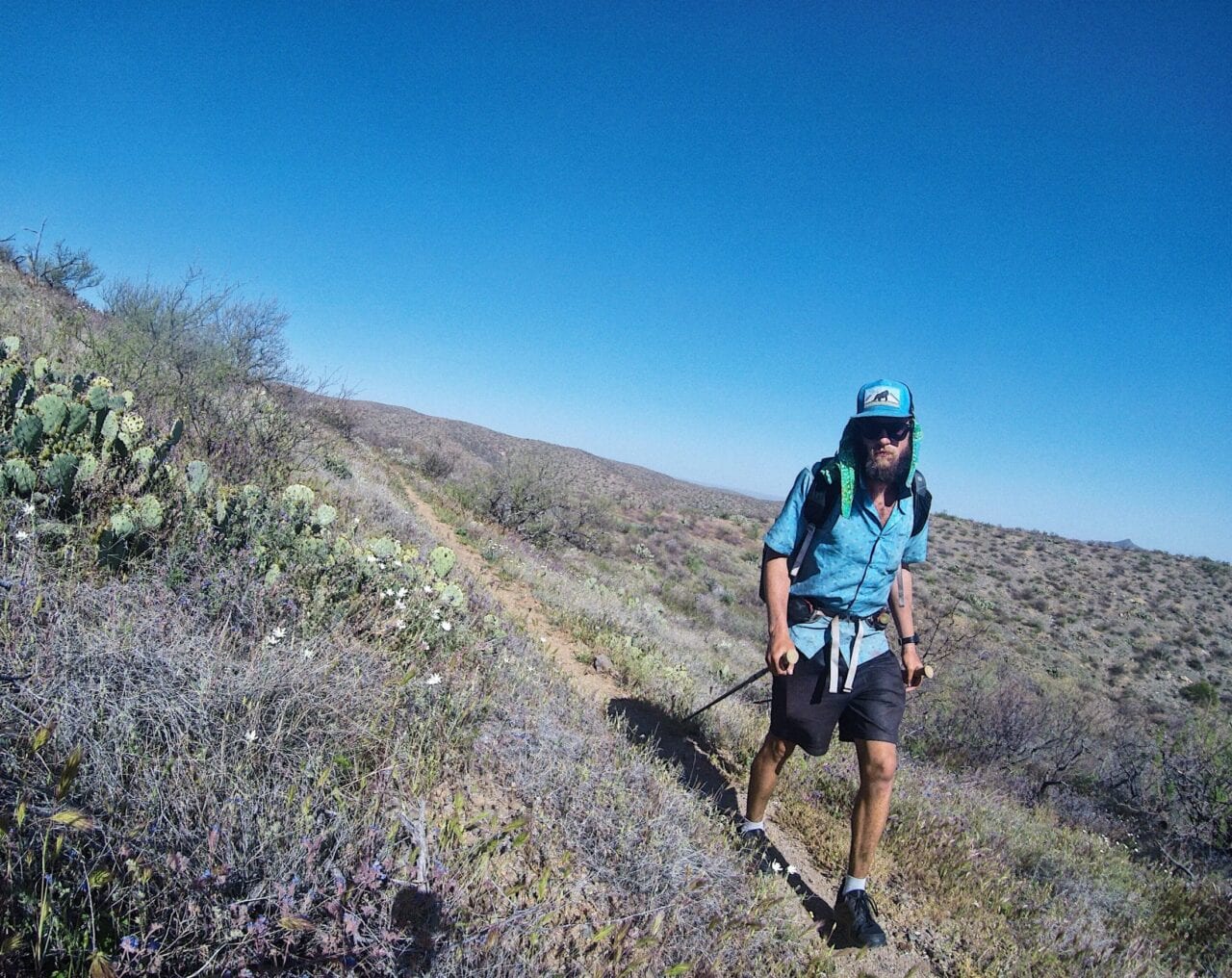 A hiker walking along a trail next to some cactus and flowers.