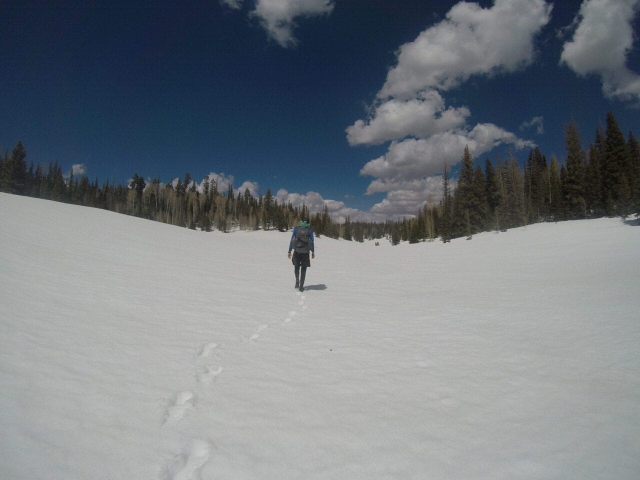 A hiker hiking in the snow on a mountain.