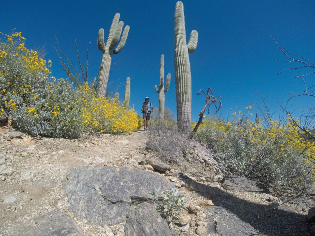 A hiker on the Arizona Trail.