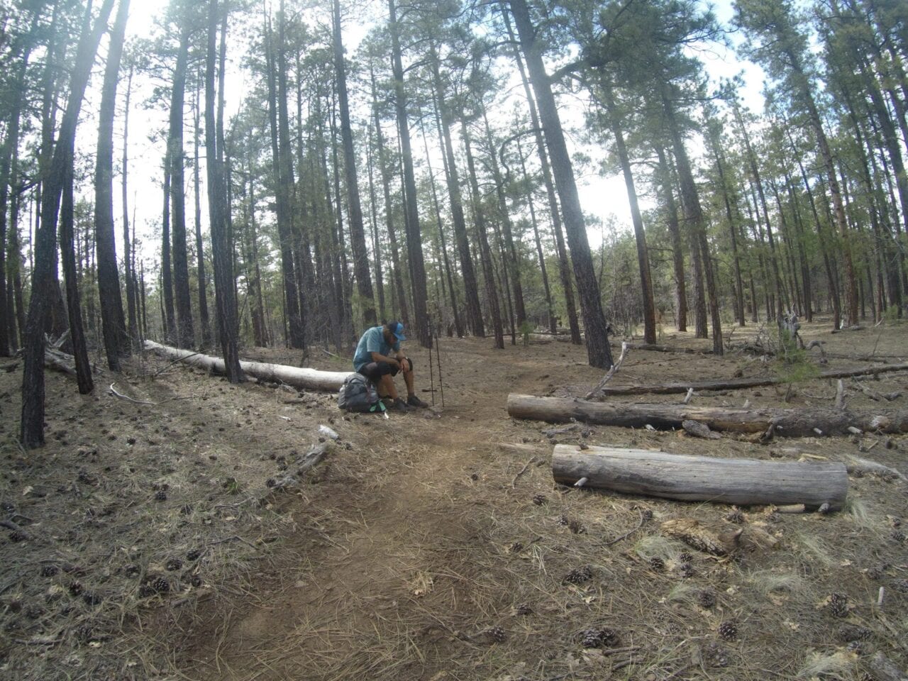 A hiker sitting on a log next to the trail.