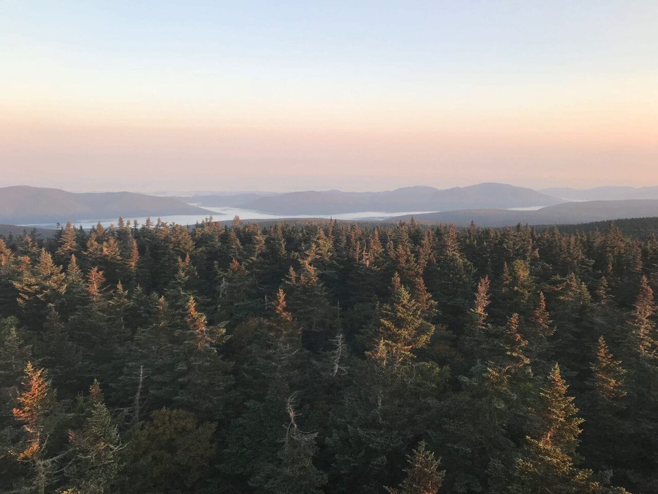 A view of a sunrise above the trees.