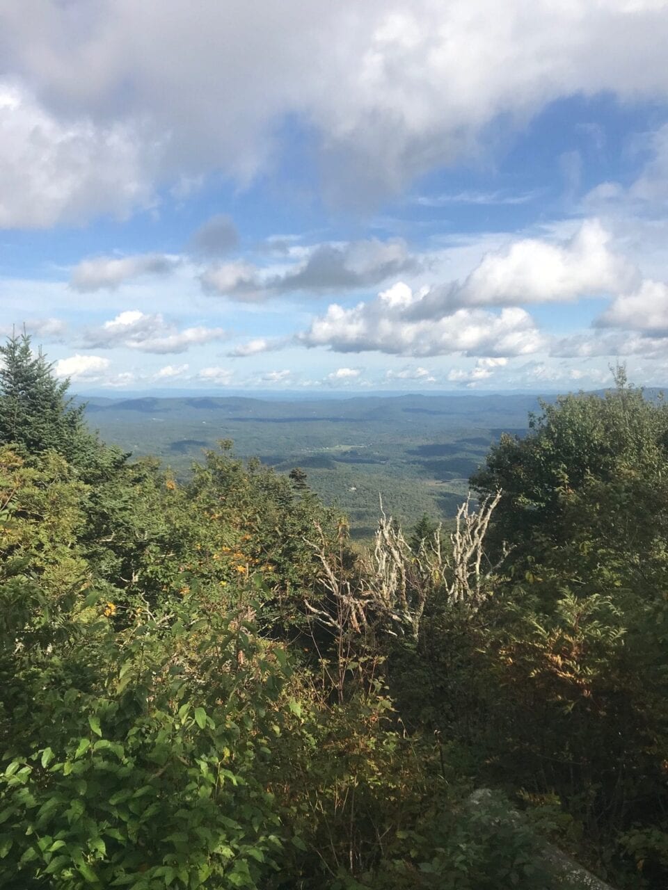 A view from the Appalachian Trail.