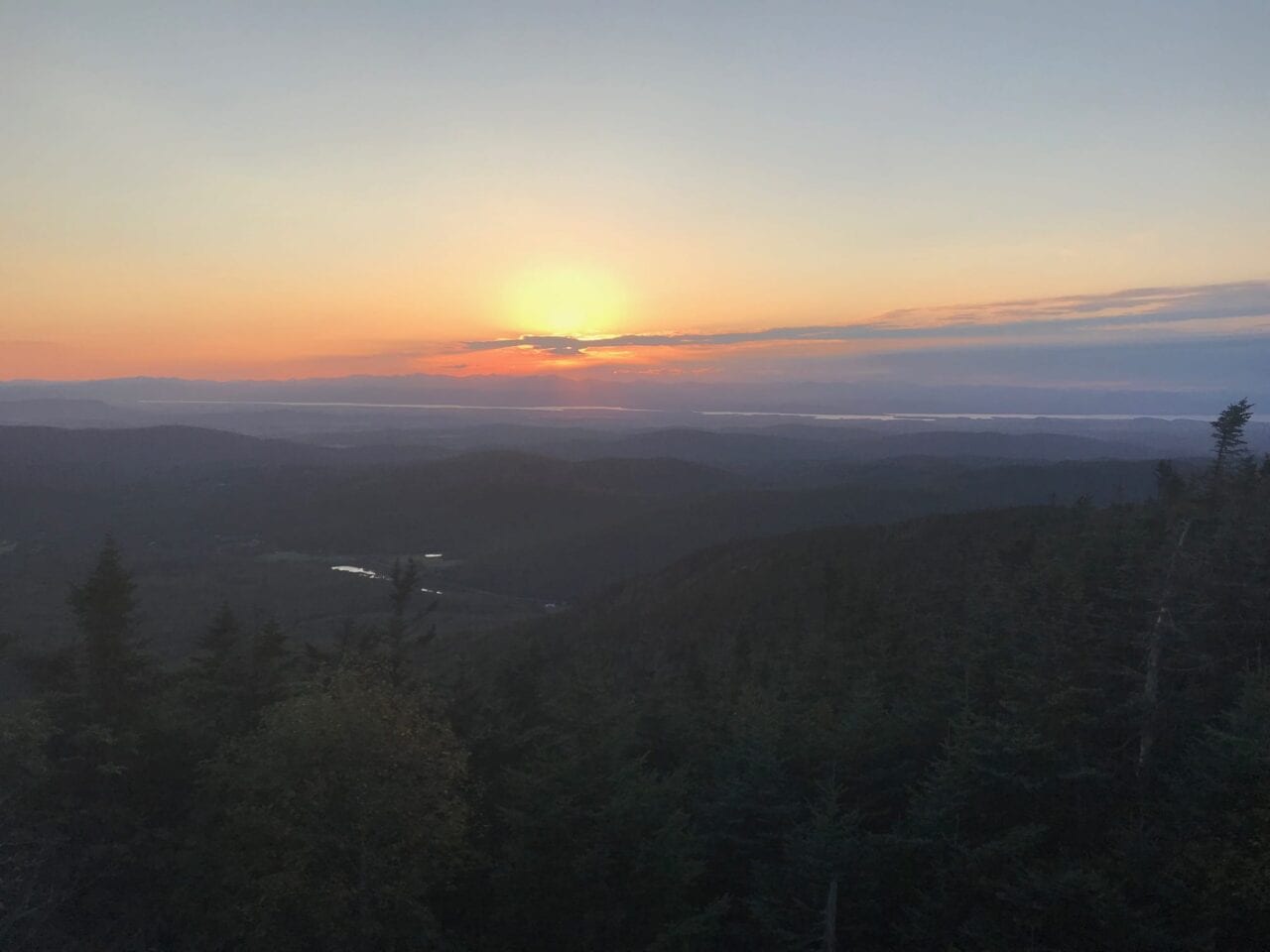 A beautiful sunset in the distance over some forest.