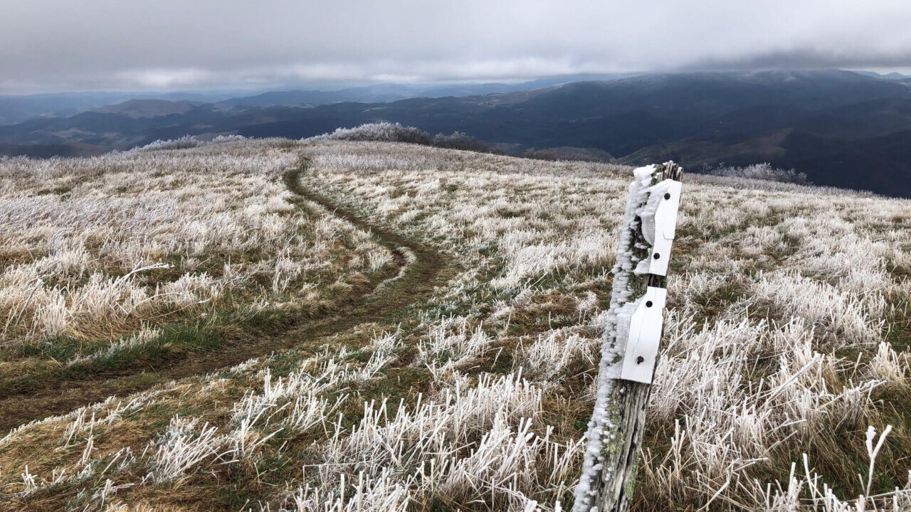 A view of a trail through dead grass on a hill.