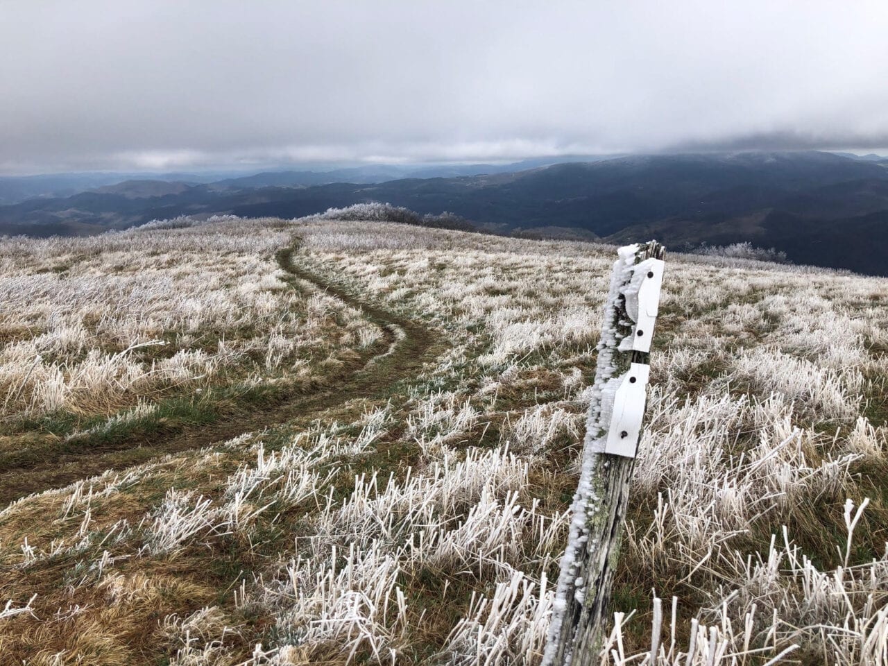 A view of a trail through dead grass on a hill.