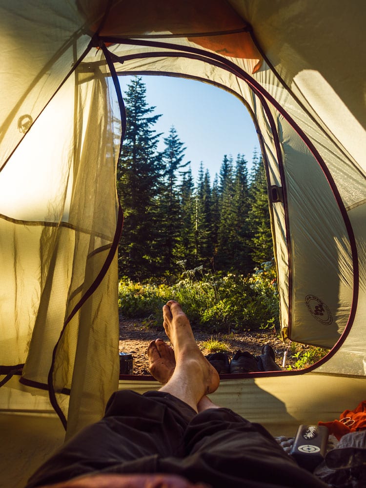 A view from inside a tent.