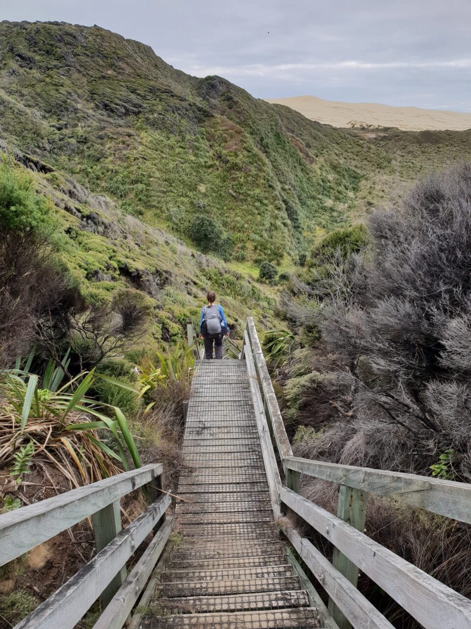 A hiker walking down stairs on the Te Araroa.
