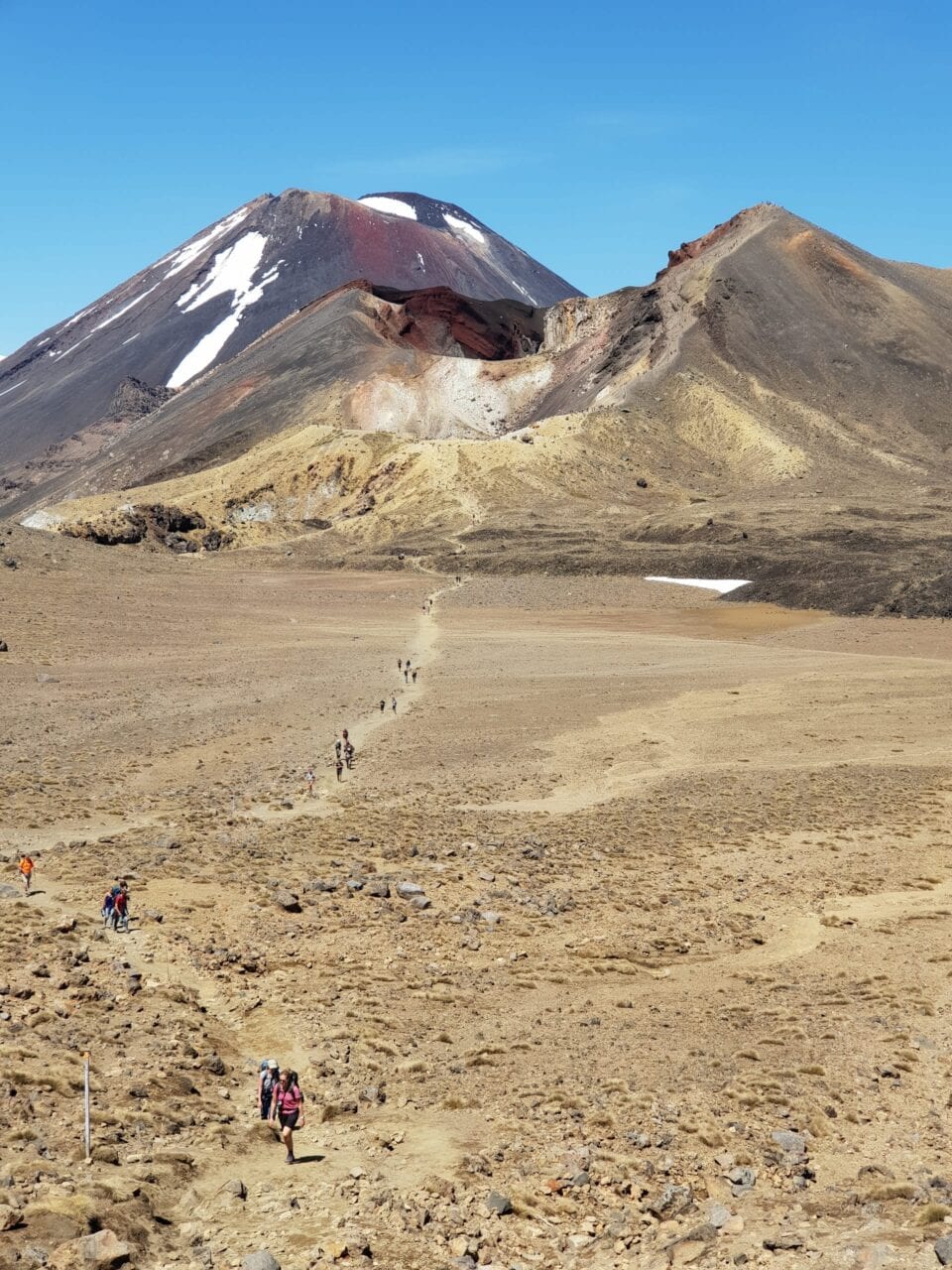 A view of the Te Araroa trail.