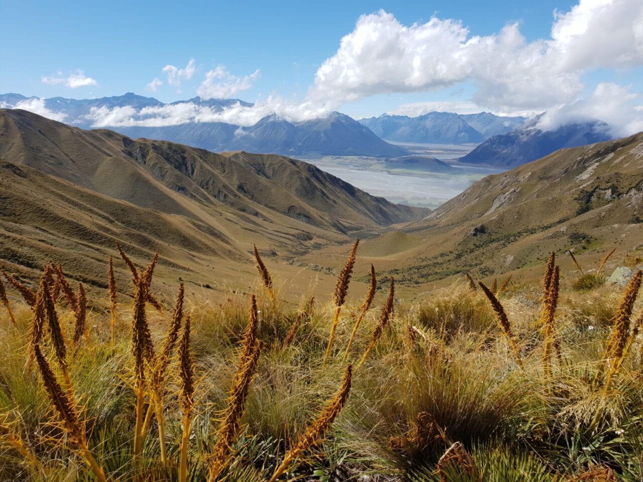 A view of mountains on the Te Araroa.