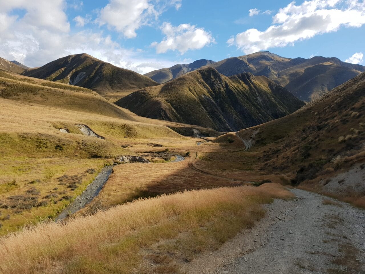 A view of the trail on the Te Araroa.