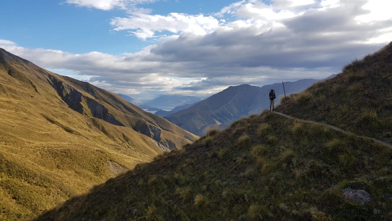 A hiker on the Te Araroa.