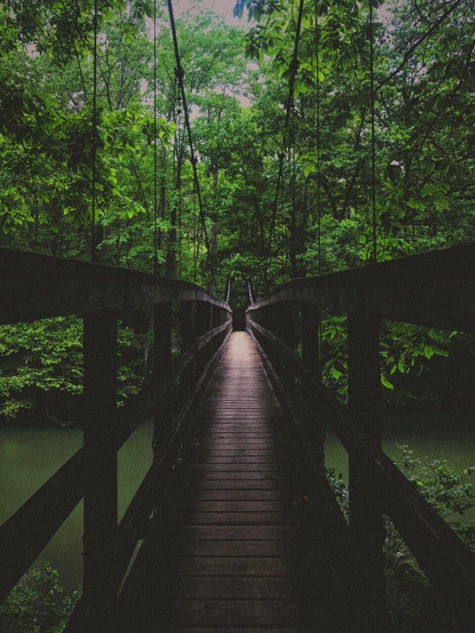 A wooden bridge on the Appalachian Trail.