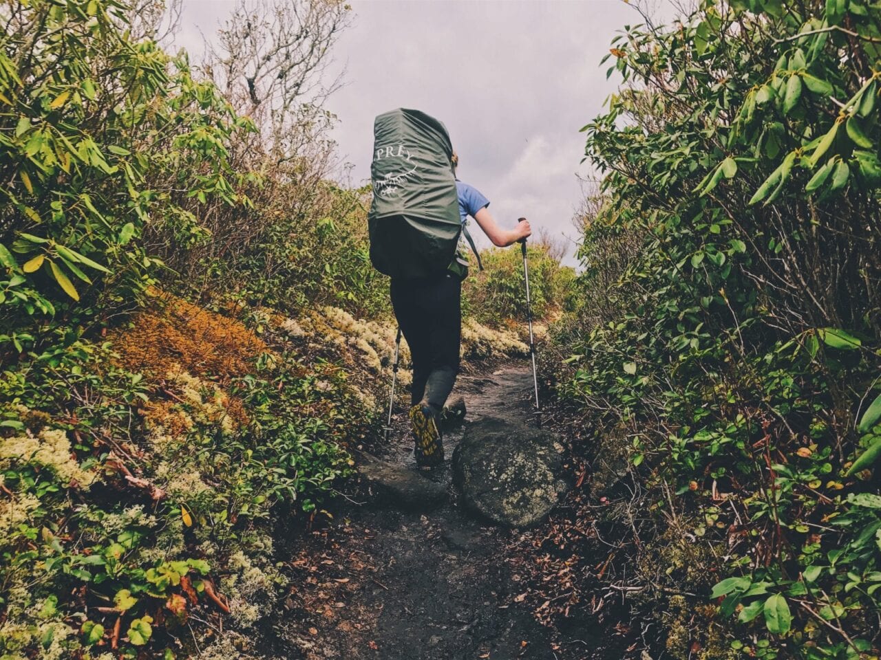 A thru-hiker on the Appalachian Trail.