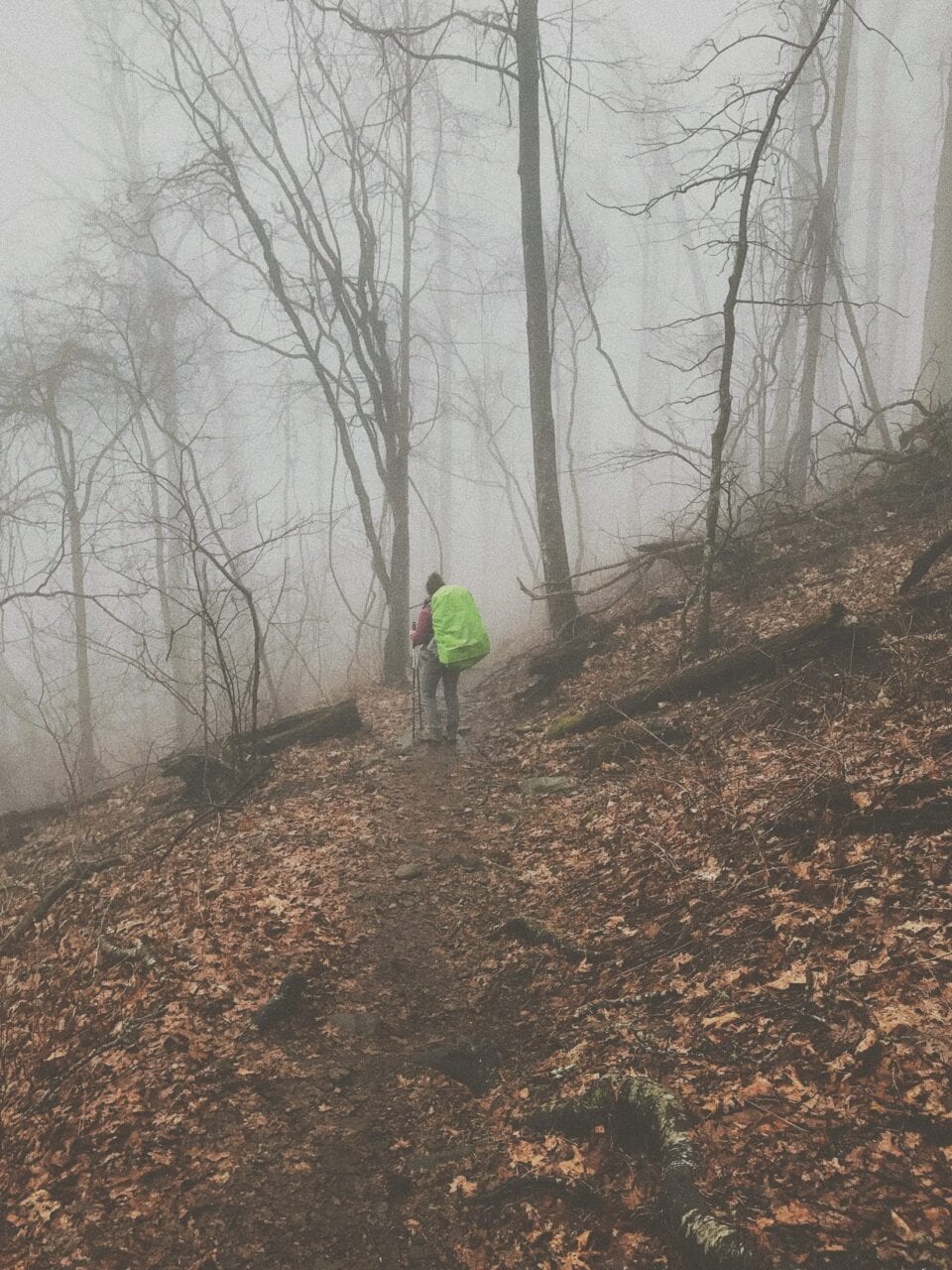 A hiker standing in the foggy woods on the Appalachian Trail.