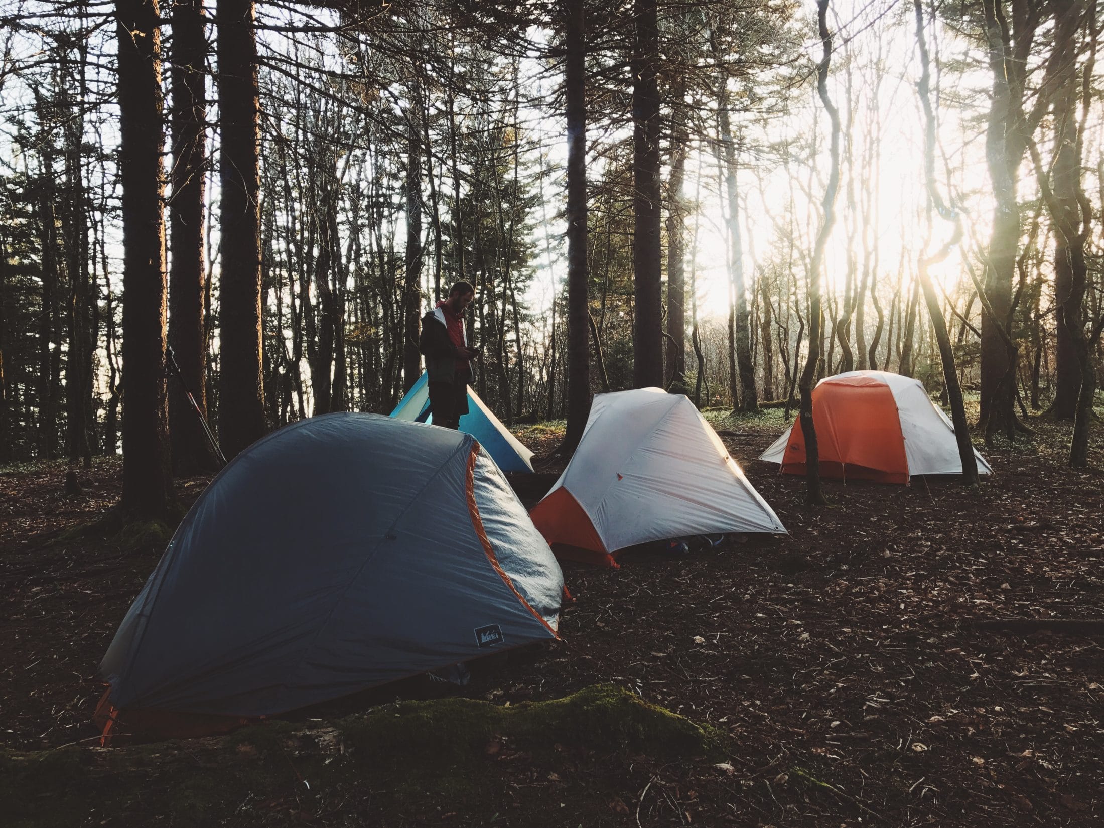 Tents set up in the forest on the Appalachian Trail.