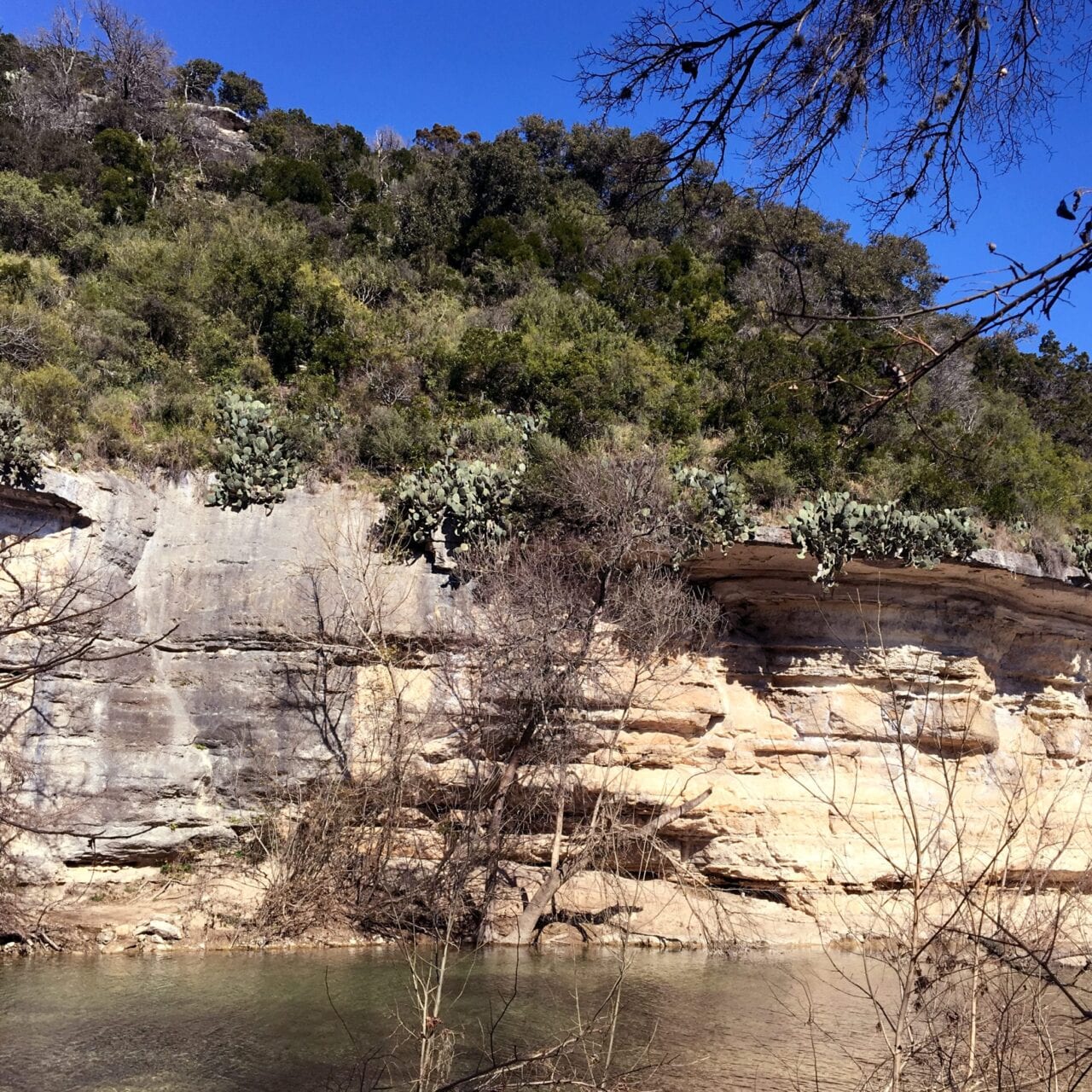 A creek runs along a rock wall with trees on top.