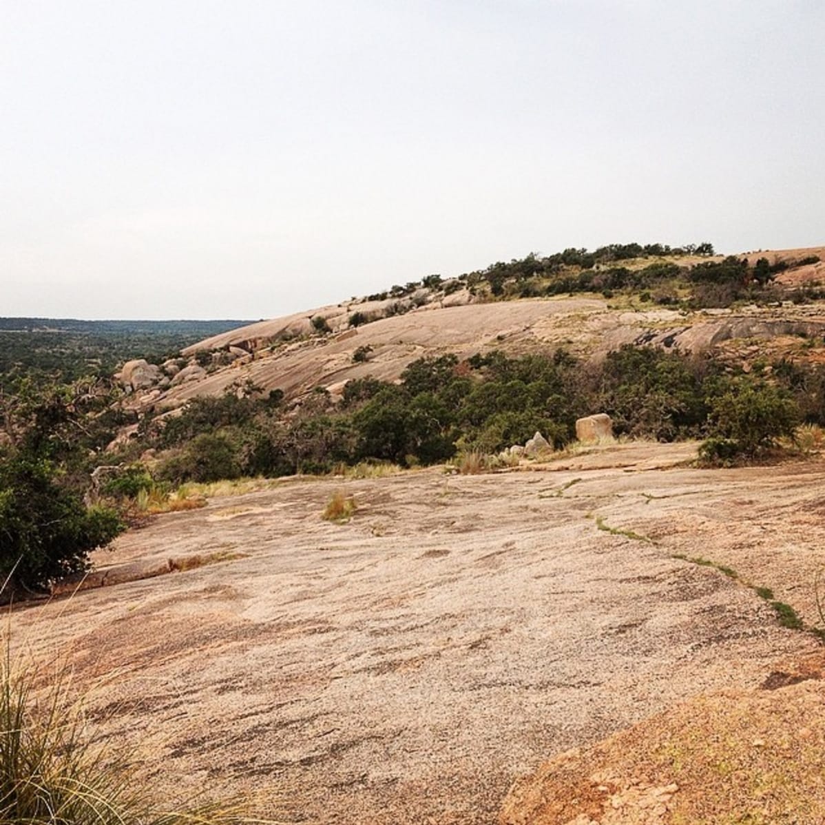 A large smooth rock outcropping has a few scrub trees on top.