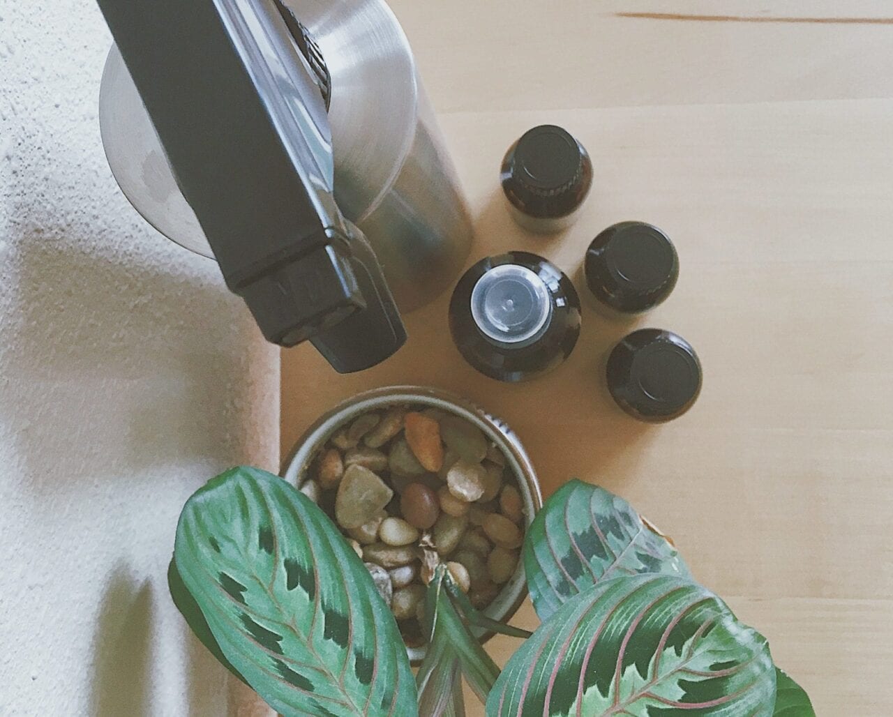 A plant and a spray bottle of cleaner sit on a wooden table.