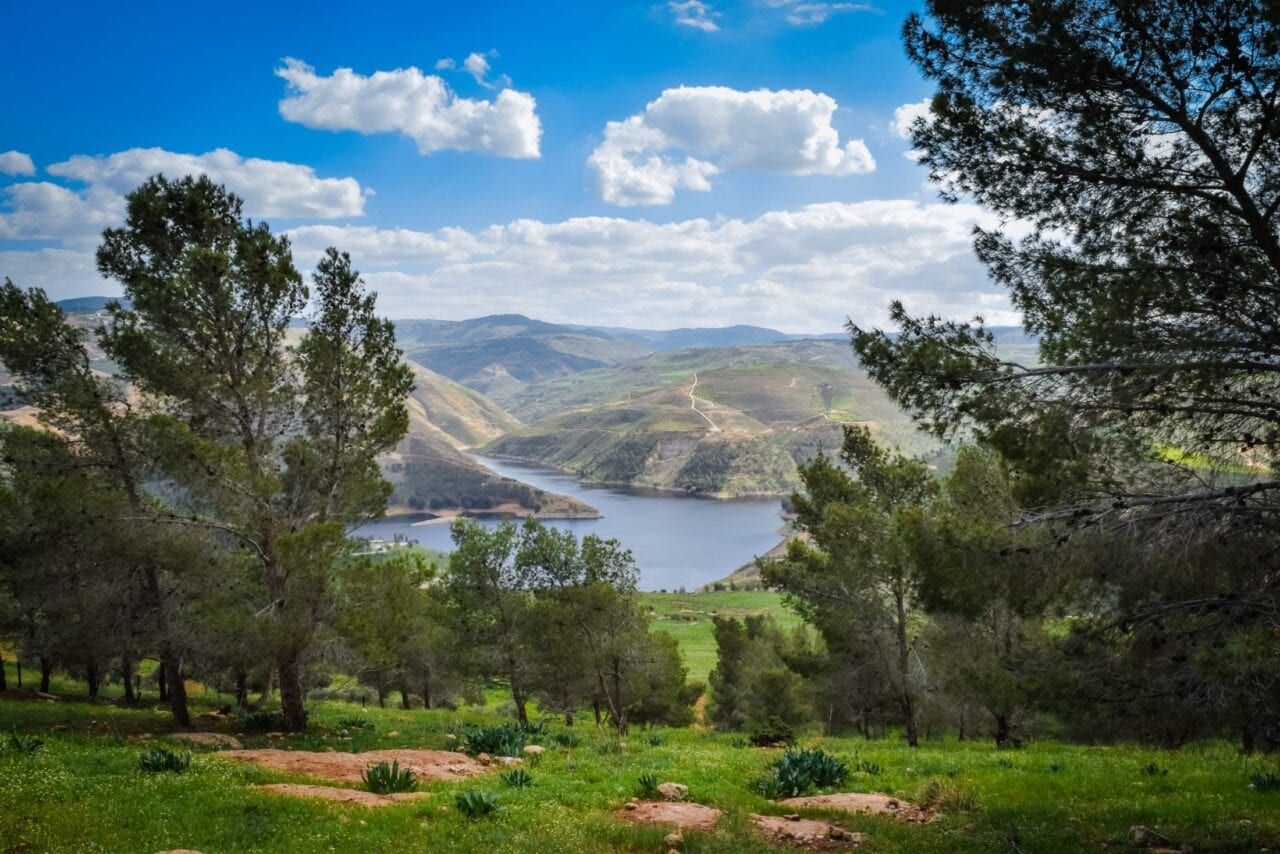 A green meadow and trees lies in front of a lake and mountains.