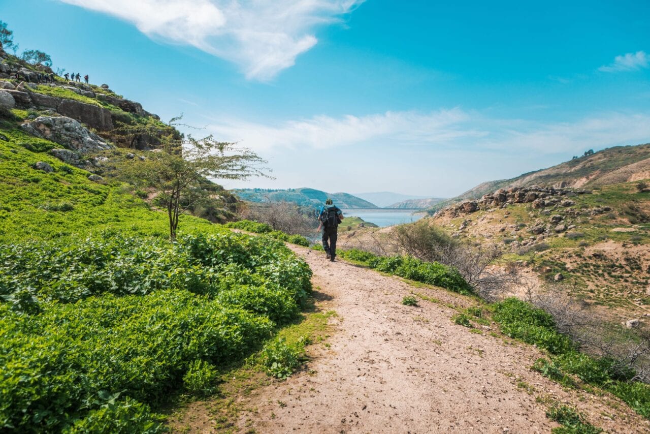 A hiker walks up a sandy path through low green plants.