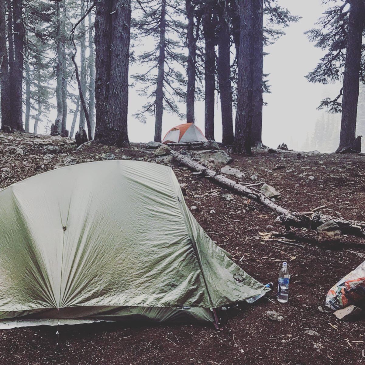 A tent in the woods on the Pacific Crest Trail.