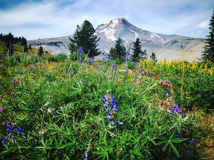 A view of a mountain on the Pacific Crest Trail.