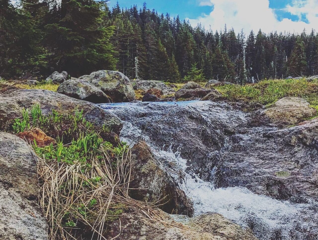 A river on the Pacific Crest Trail.